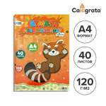 Альбом Calligrata А4 40 лист.