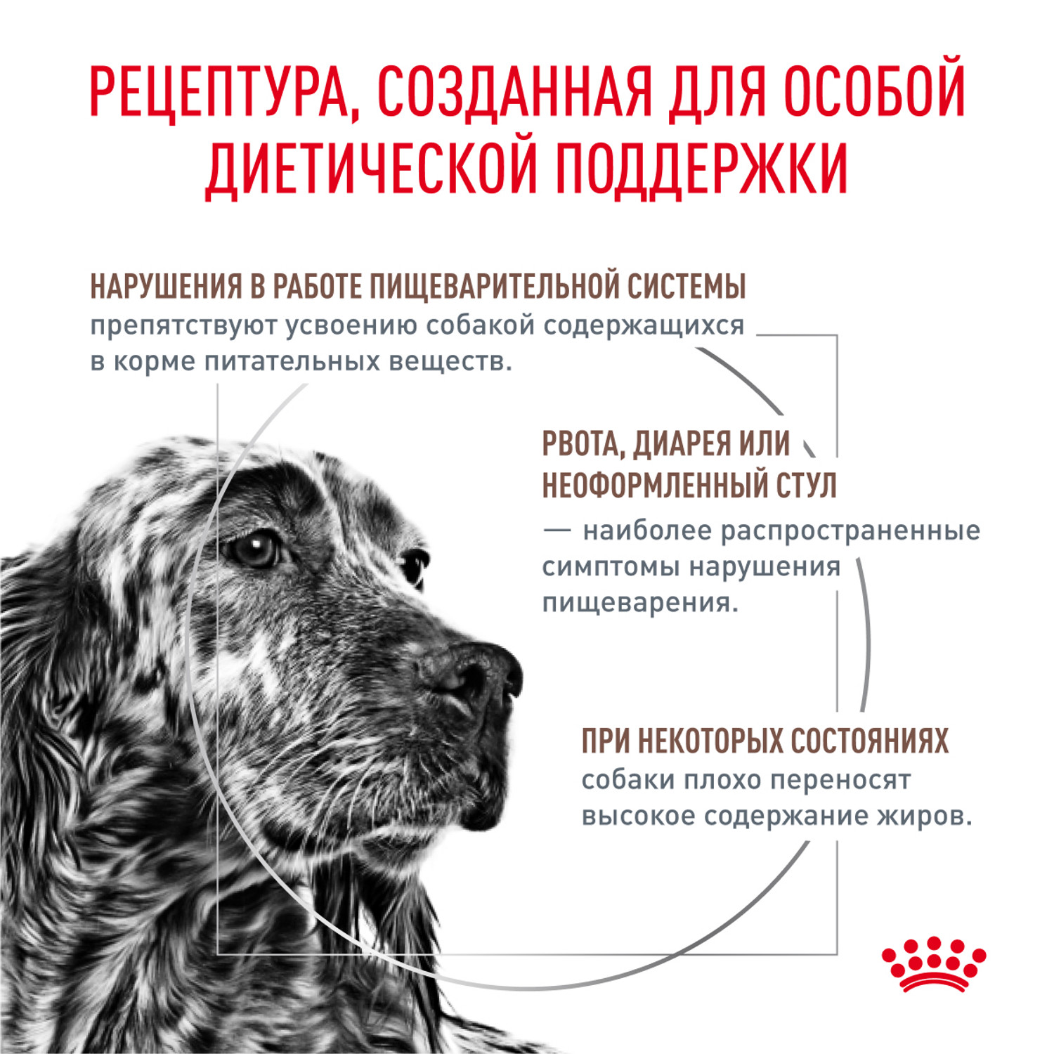 Корм для собак ROYAL CANIN Gastro Intestinal Low Fat LF22 при нарушении пищеварения с ограниченным содержанием жиров 1.5кг - фото 2