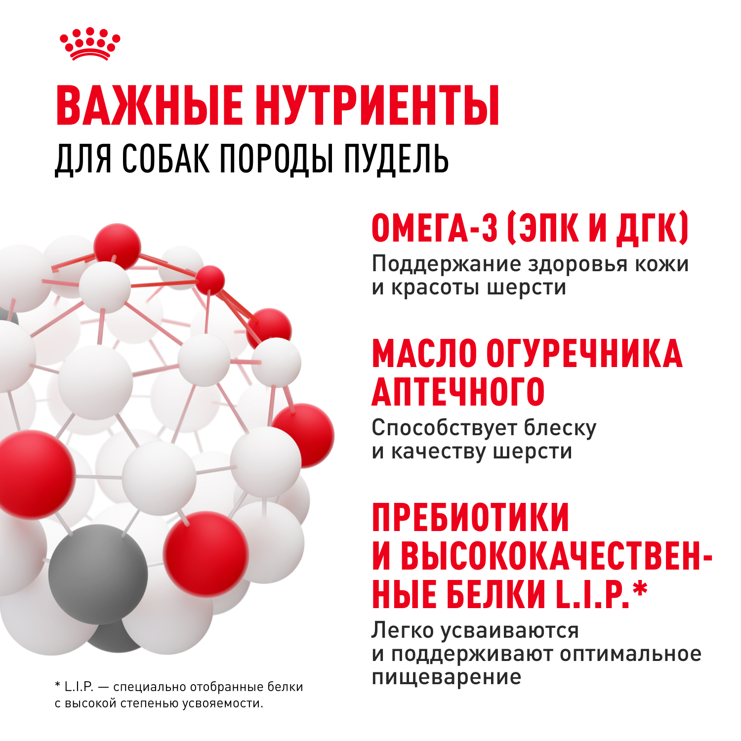 Корм для собак ROYAL CANIN Poodle Adult Пудель Эдалт сухой для взрослых собак породы пудель 3кг - фото 5