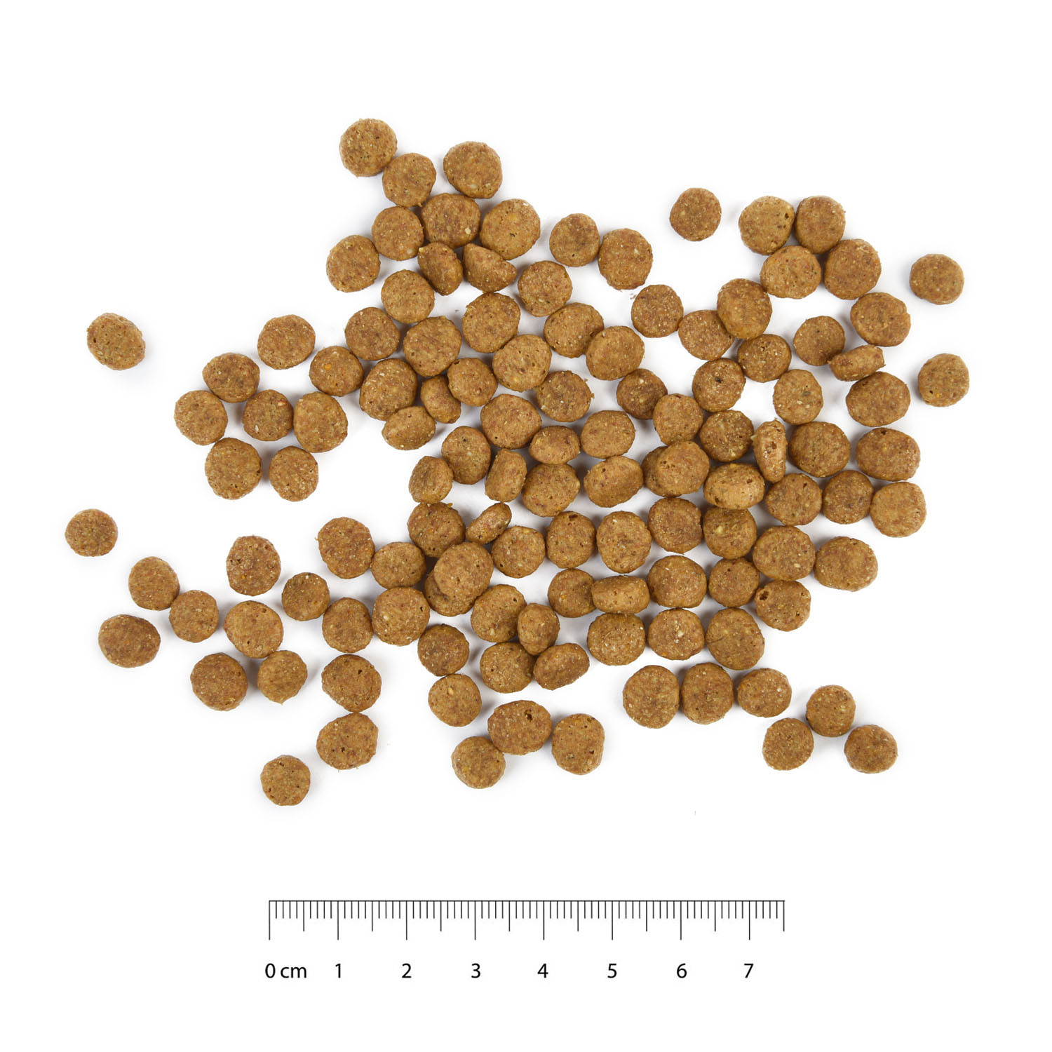 Корм для кошек Carnica 0,4кг с ягненком и рисом сухой - фото 6