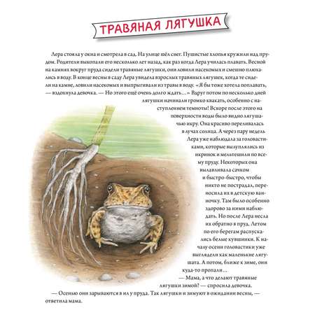 Книга ПИТЕР Сладких снов до весны Как зимуют животные и насекомые