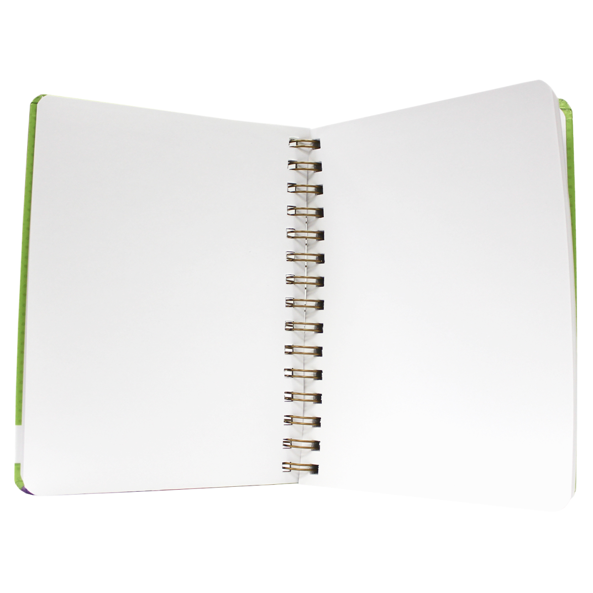 Скетчбук Проф-Пресс блокнот Аниме на гребне. А5 64 лист. 1 шт. - фото 3