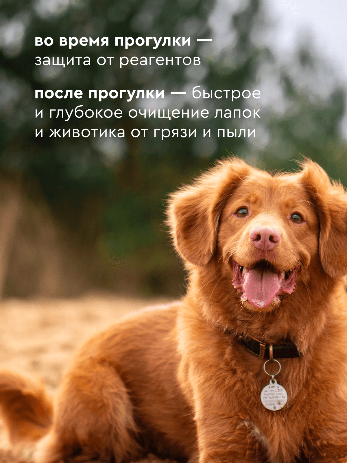 Мыло для лап Pamilee с пантенолом - фото 2