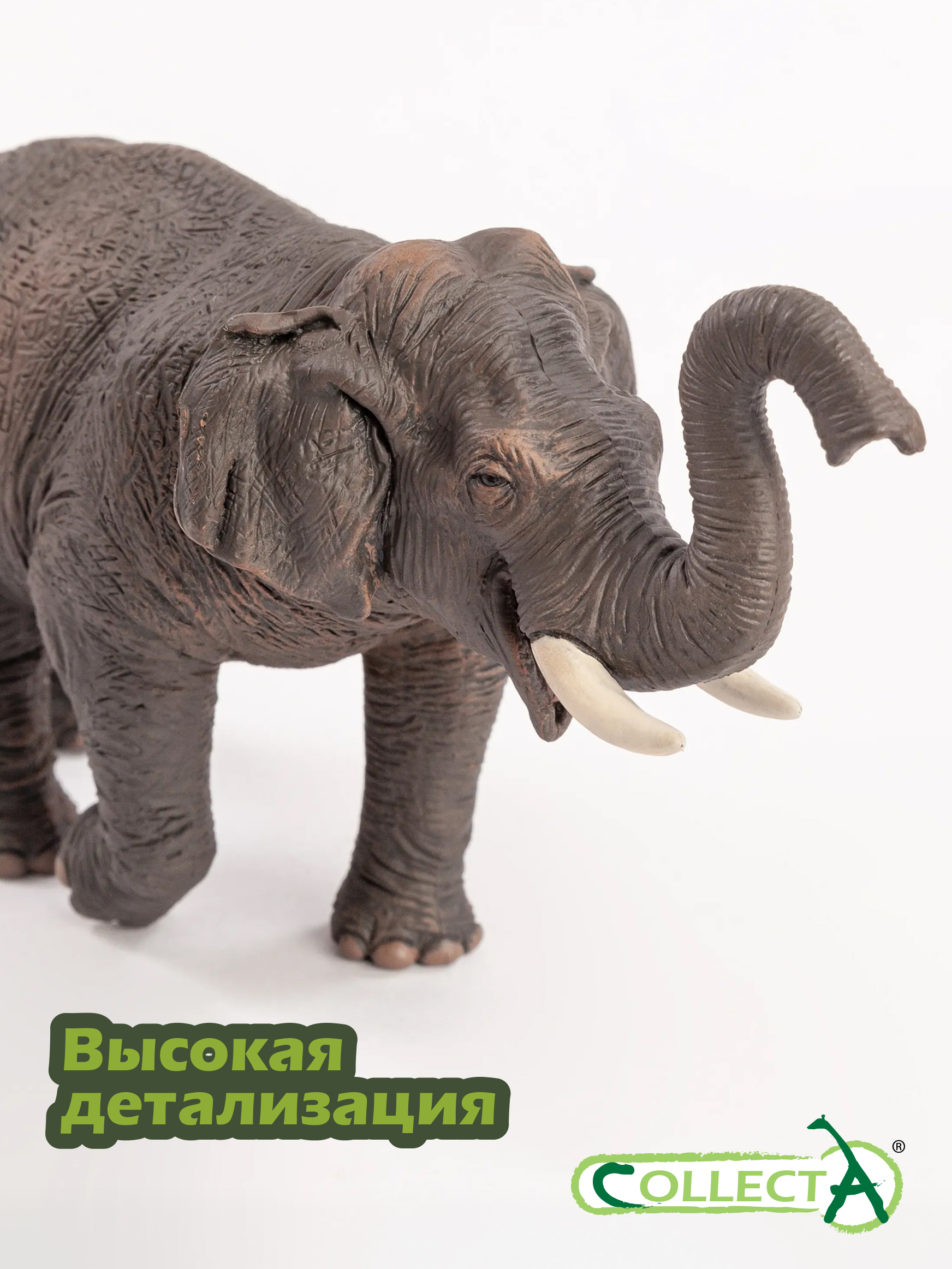 Фигурка Collecta Азиатский слон - фото 3