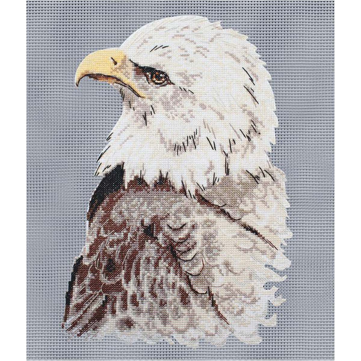 Набор для творчества Hobby Pro вышивание Гордый орел - фото 2
