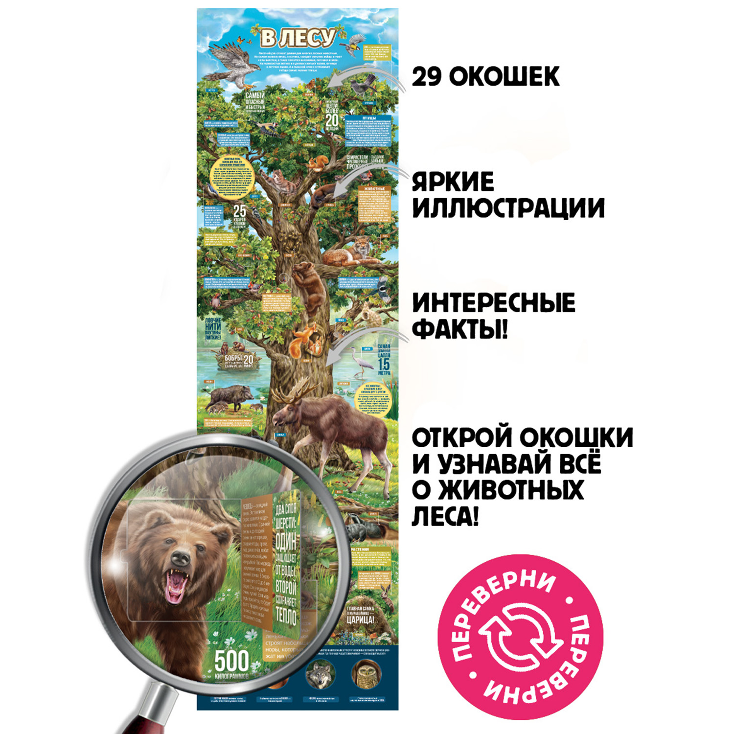 Книга с окошками Malamalama Плакат Секреты леса. Энциклопедия Животные - фото 3