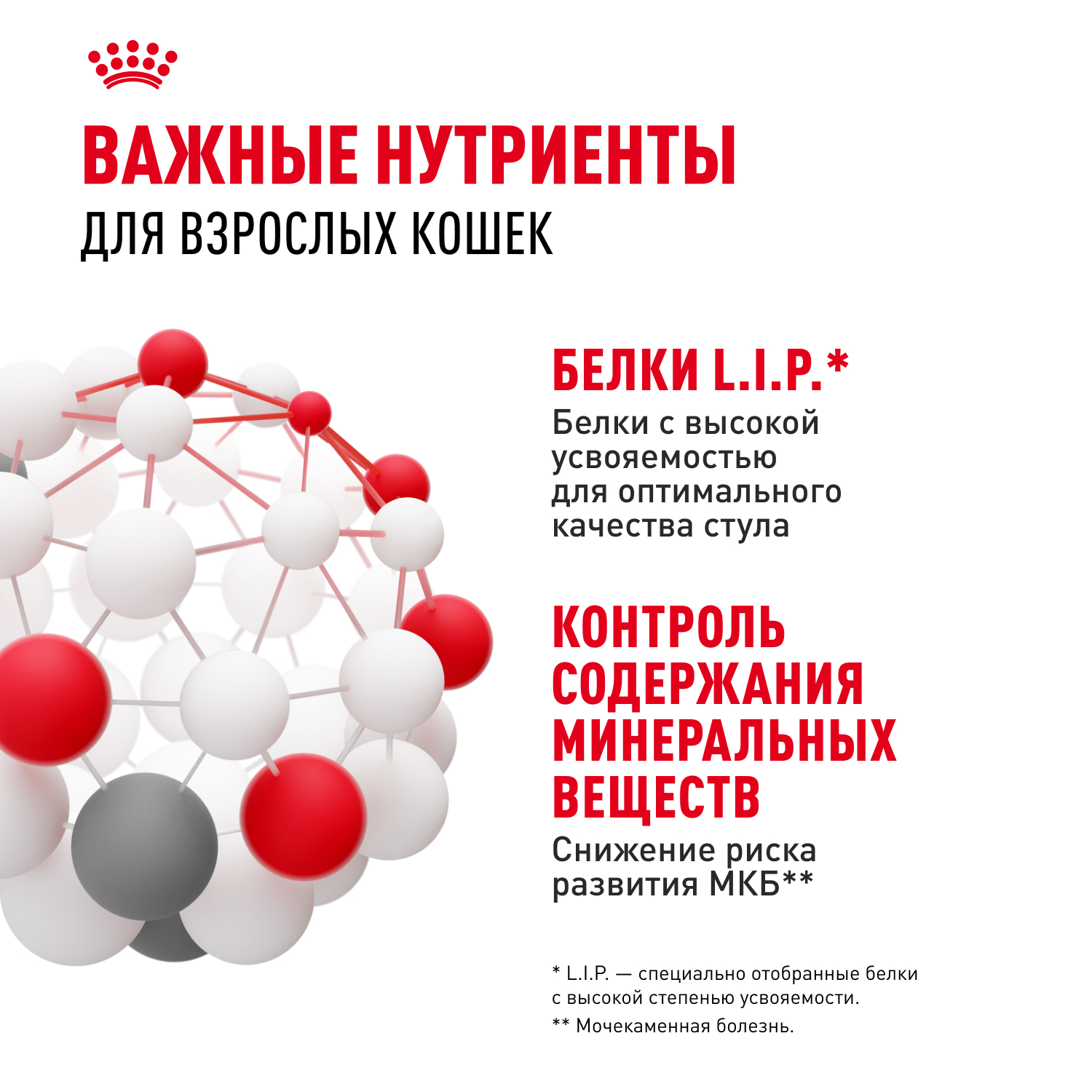 Корм для кошек ROYAL CANIN Indoor Sterilised для взрослых кастрированных и стерилизованных паштет 85г - фото 5