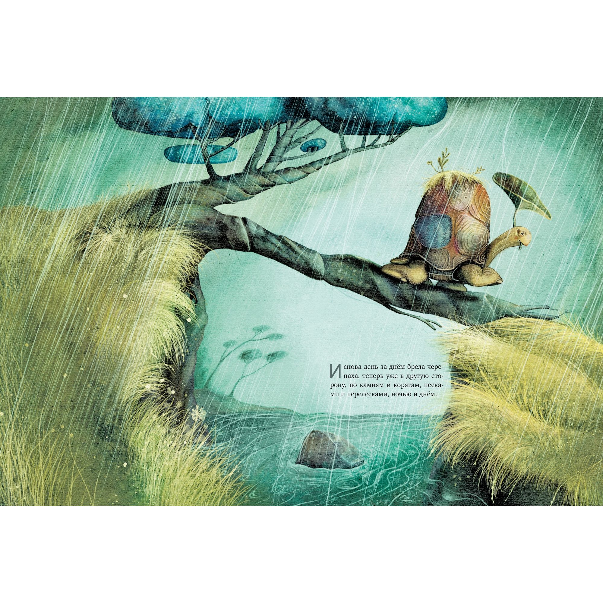 Книга МАХАОН Транквилла Неуклюжевна или Сказка о черепахе которая приняла твёрдое решение - фото 6
