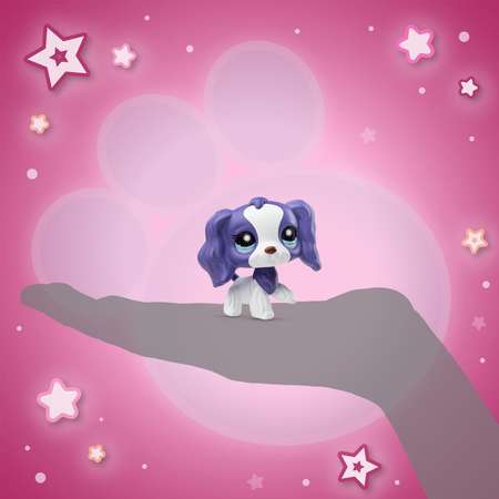 Игровой набор Littlest Pet Shop