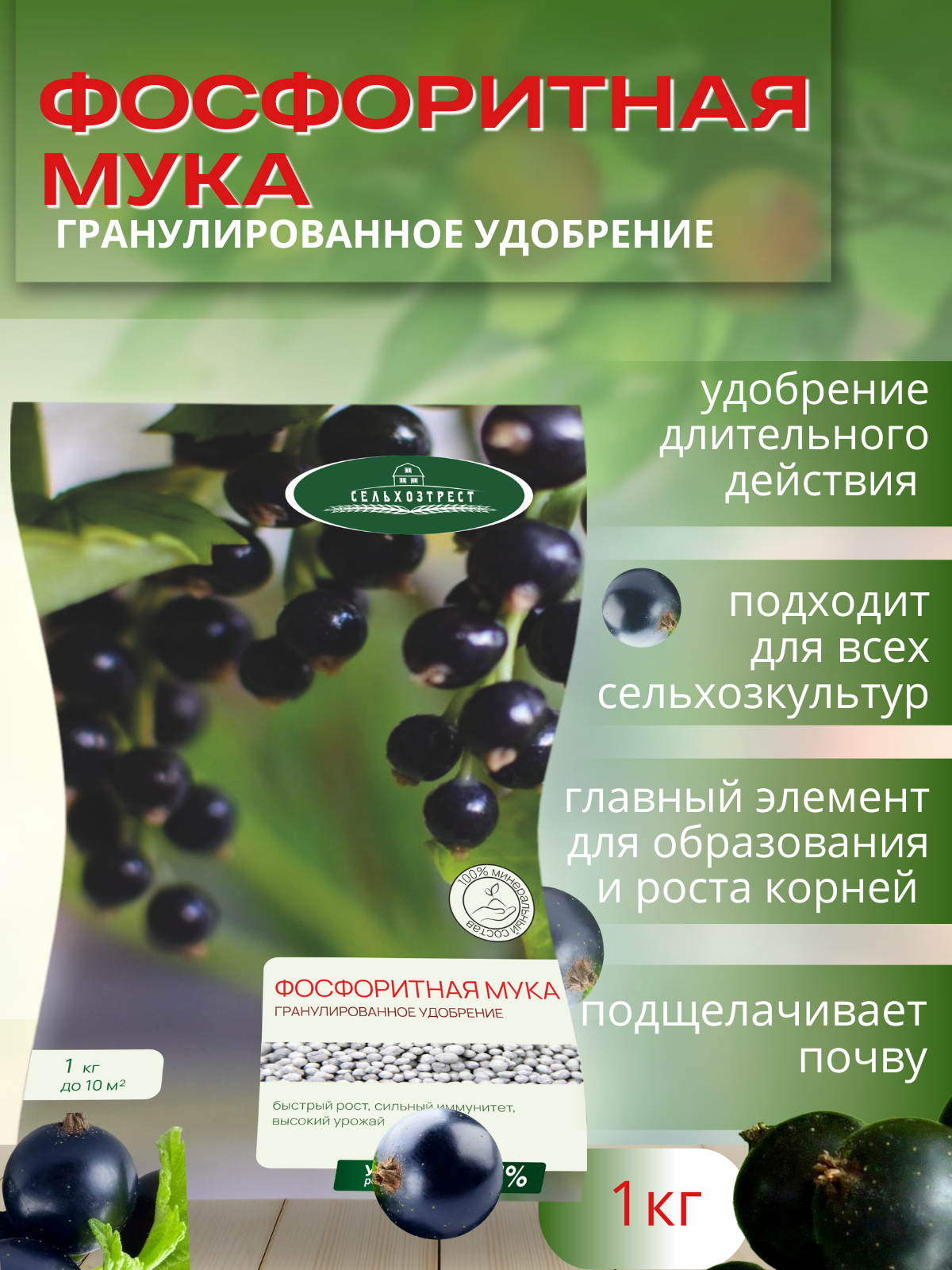 Удобрение осеннее Сельхозтрест Фосфоритная мука 1 кг - фото 2