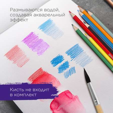 Карандаши акварельные Brauberg 24 шт.