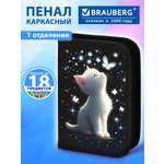 Пенал Brauberg