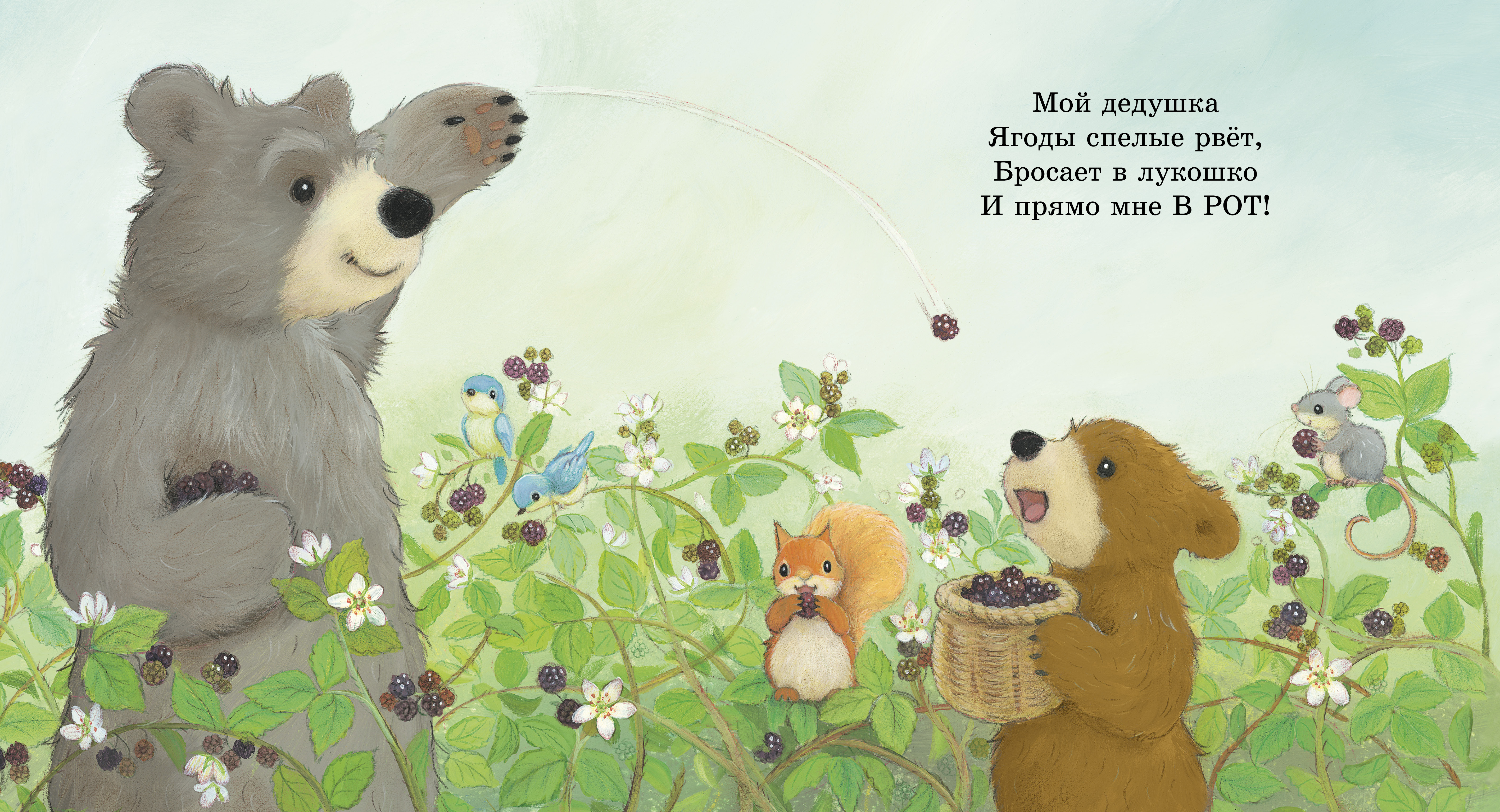 Книжки-картинки Clever Мой дедушка лучший в мире/Риччи Э. - фото 6