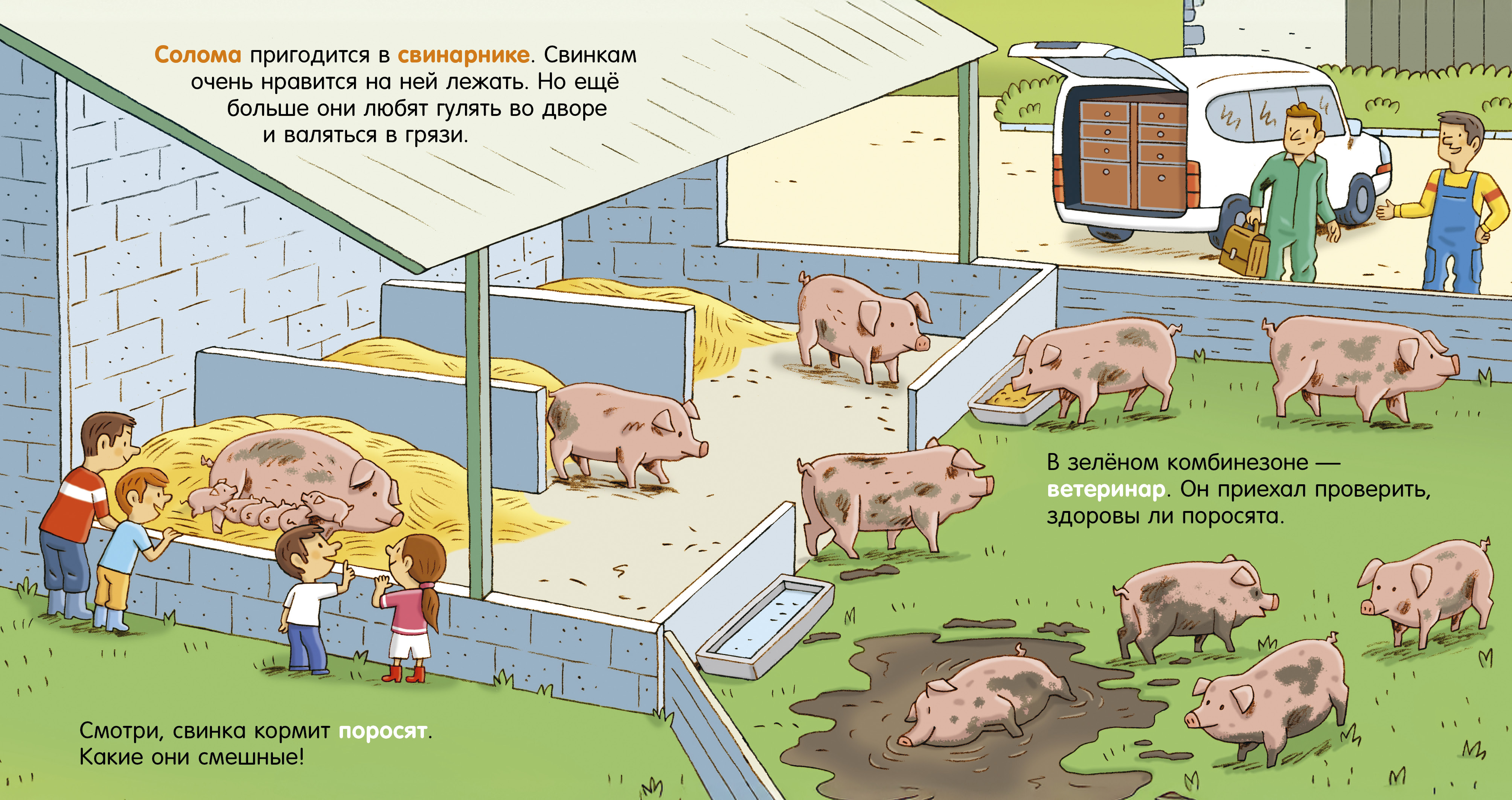 Как устроен мир? Clever Ферма - фото 3