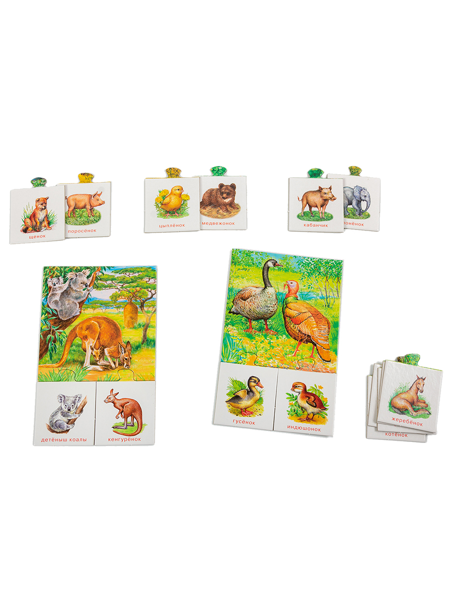 Развивающая игра Дрофа-Медиа Кто чей малыш? 1134 - фото 2