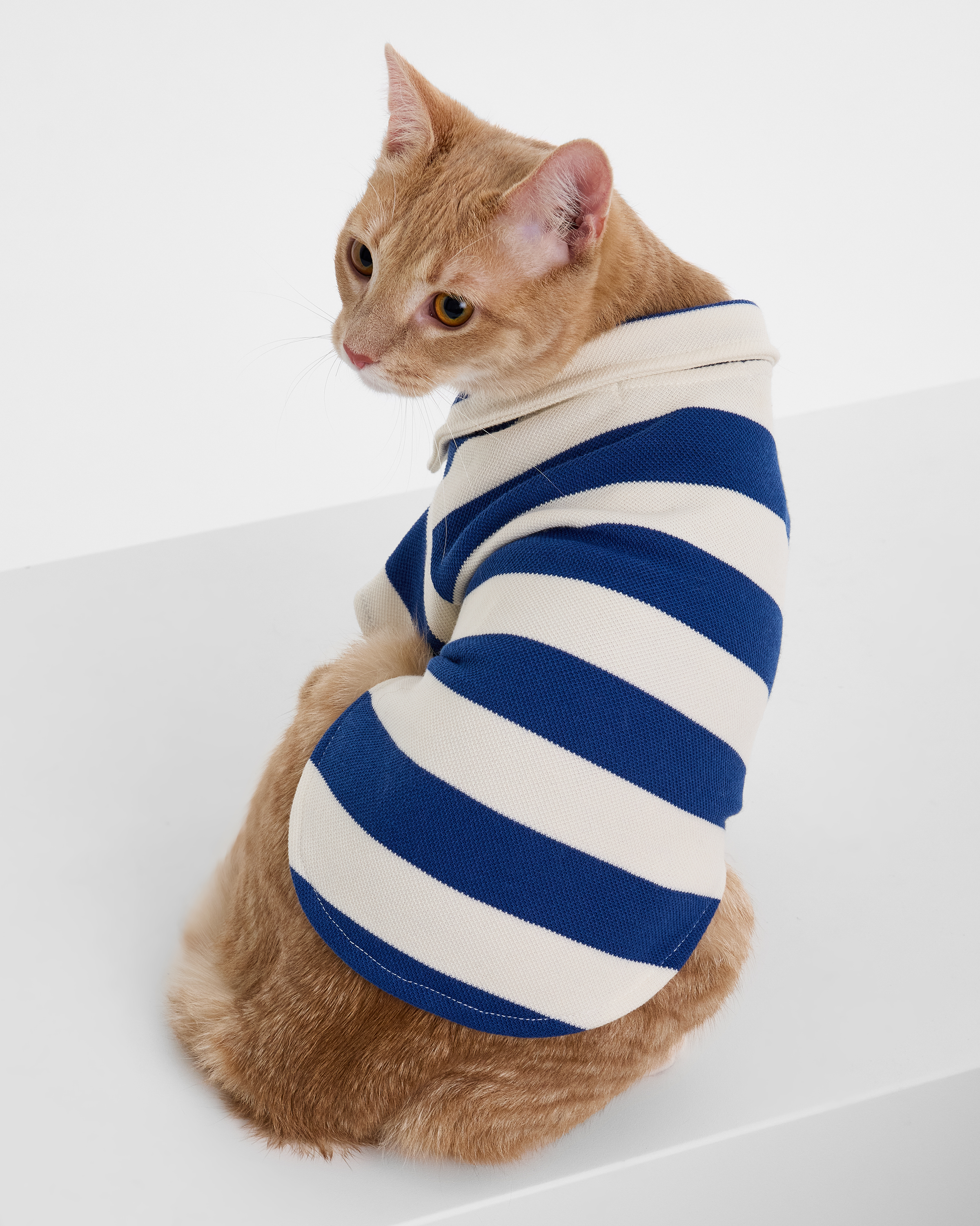 Поло для собак и кошек Зоозавр - фото 11