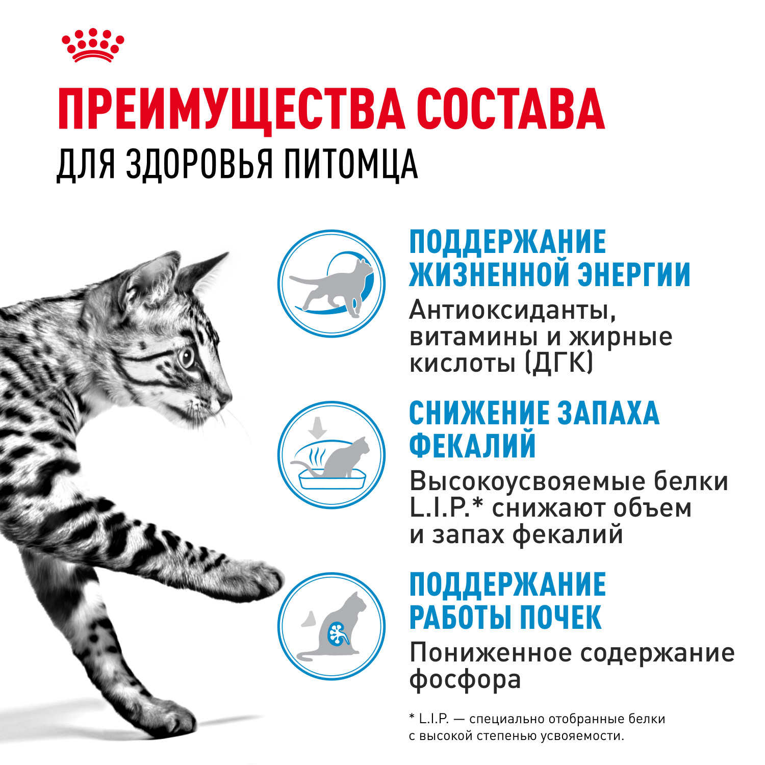 Корм сухой для кошек ROYAL CANIN Indoor 400г пожилых кошек постоянно проживающих в помещении - фото 3