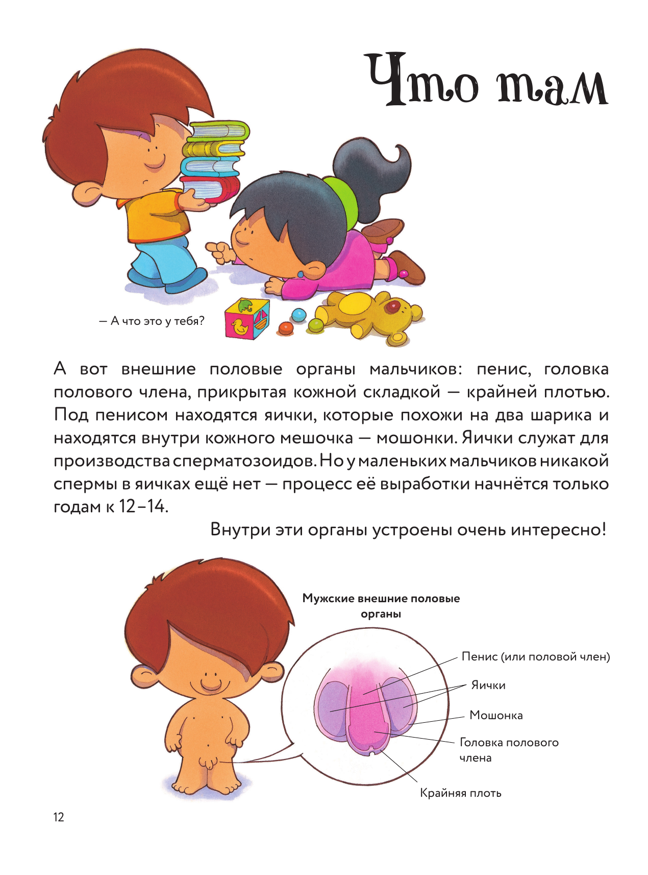 Что Такое Секс Объяснение Для Детей Что Такое Секс Объяснение Для Детей