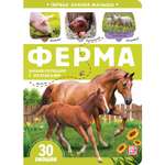 Книга Malamalama Первые знания малыша с окошками. Ферма