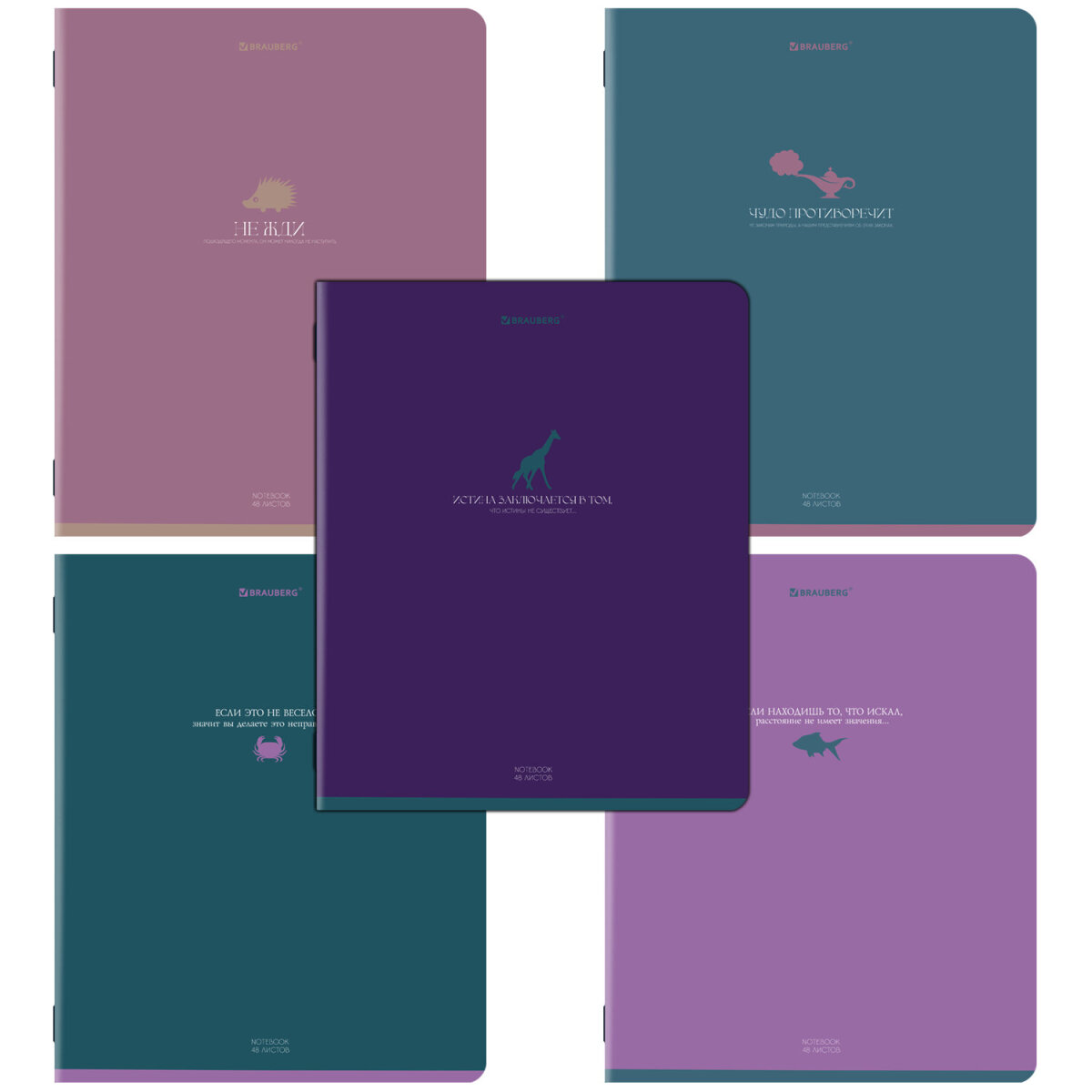 Общая тетрадь Brauberg клетка 48 лист. 5 шт. - фото 2