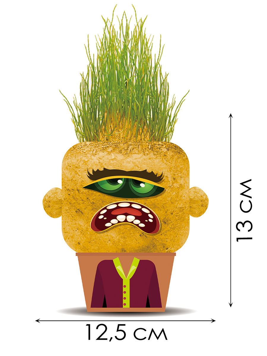 Набор для выращивания Hape - фото 2