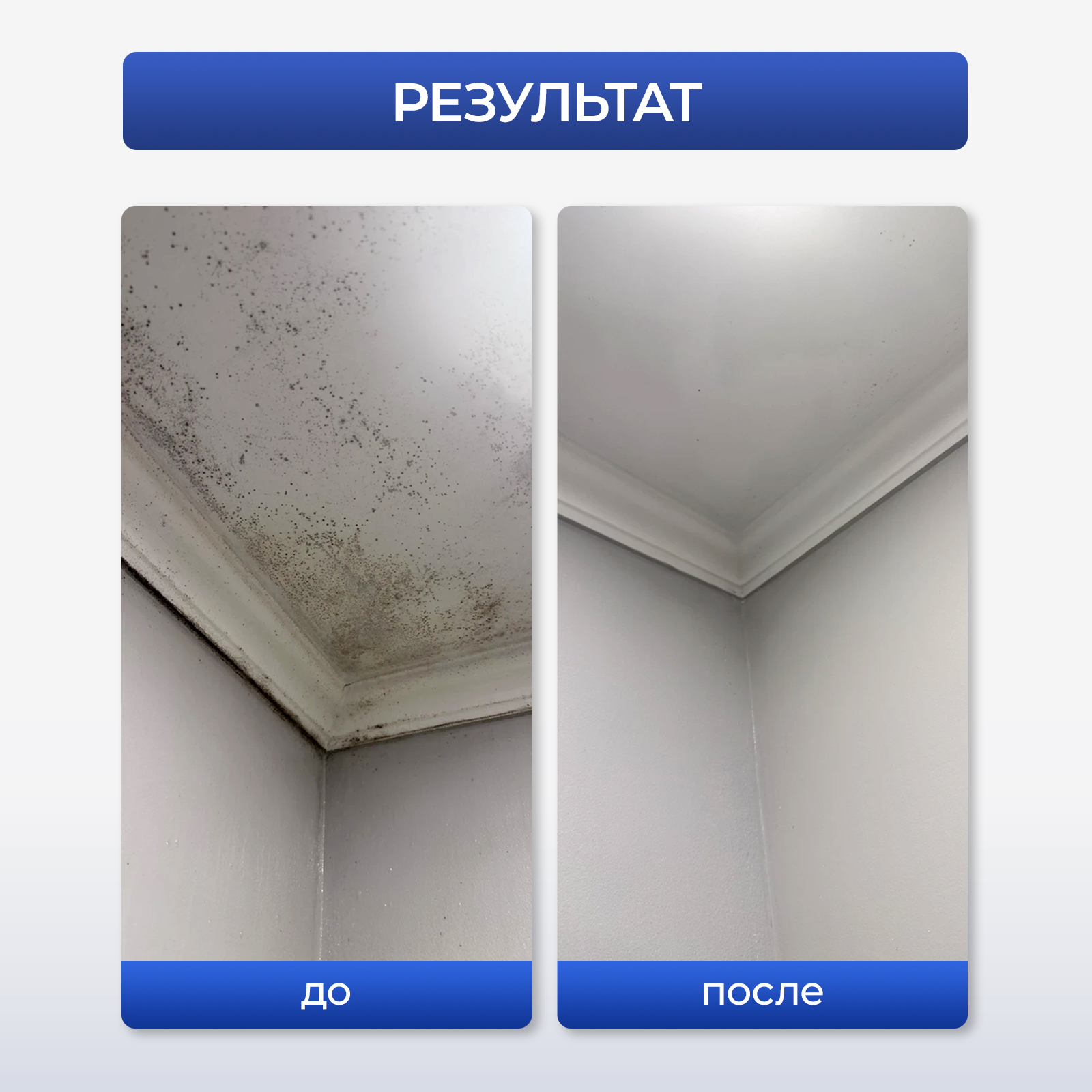 Средство от плесени Generalim для дома и дачи 1 л - фото 12
