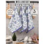 Комплект полотенец кухонных Wellness Уют_3-55