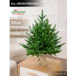 Ель Византийская Империя Ёлок 60 см