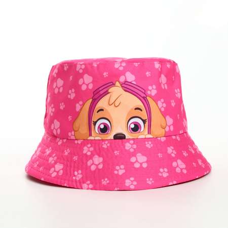 Панама Paw Patrol