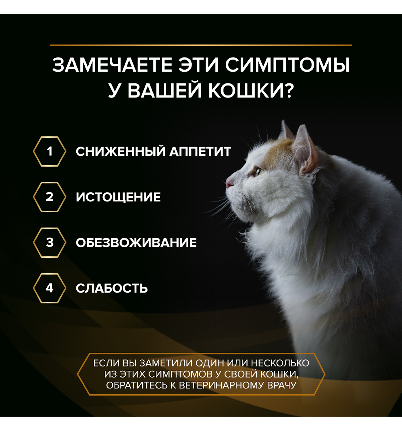 Корм для кошек влажный PRO PLAN для поддержания функции почек курица 85г - фото 5