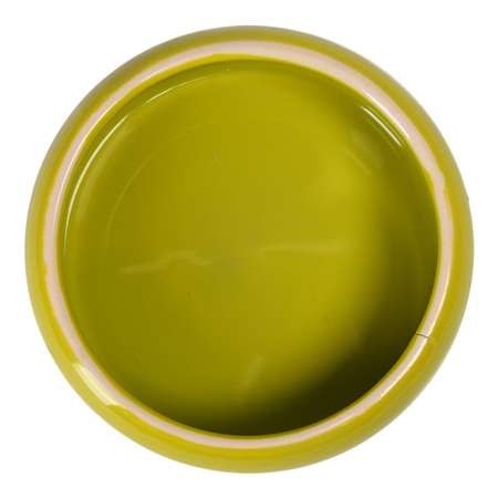 Миска для кошек-собак Nobby 0.5л Зеленый 37317