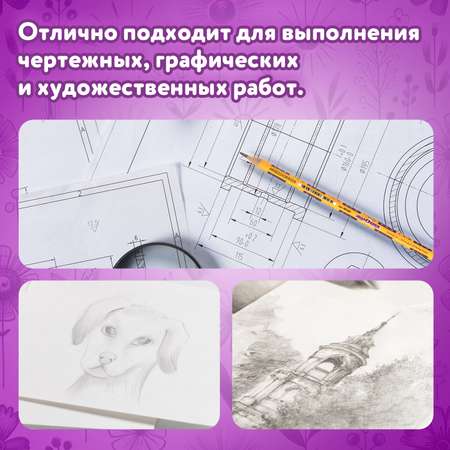 Карандаши чернографитные Юнландия 8 шт.