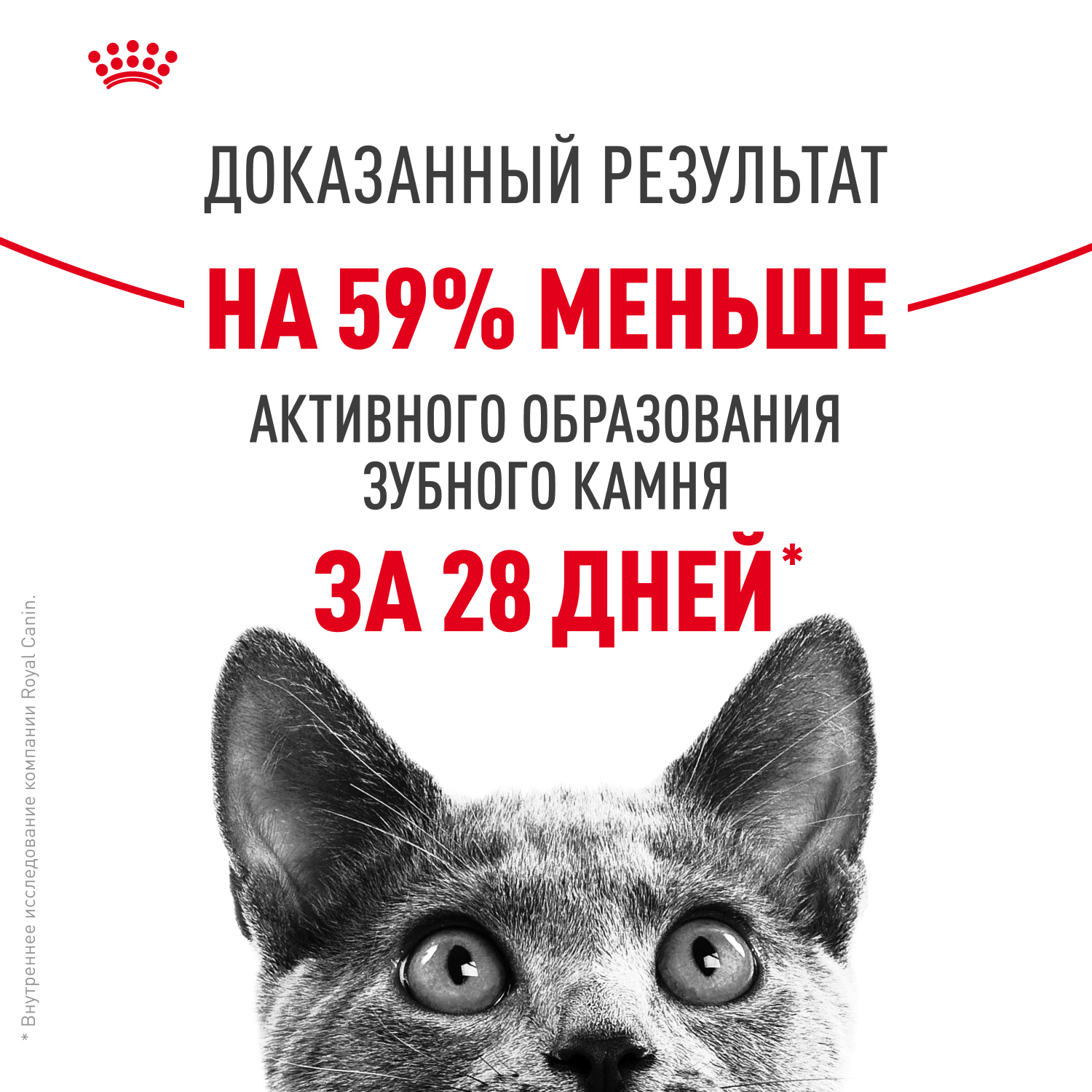 Корм для кошек ROYAL CANIN Dental Care для профилактики образования зубного налета и зубного камня 1.5кг - фото 11