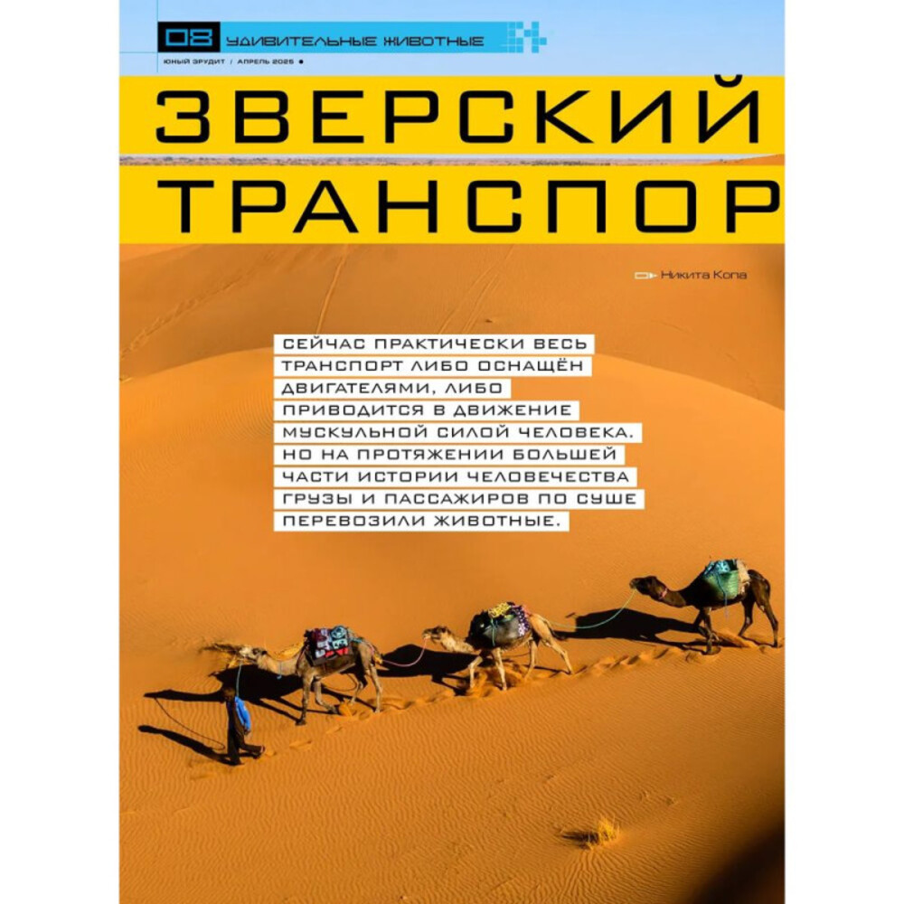 Детские журналы ИД Лев Журналы для любознательных детей - фото 7