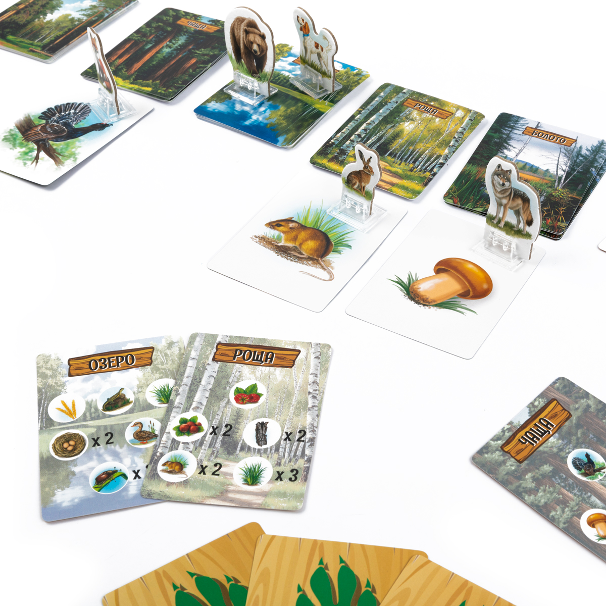 Настольная игра Эврикус Лесные истории - фото 10