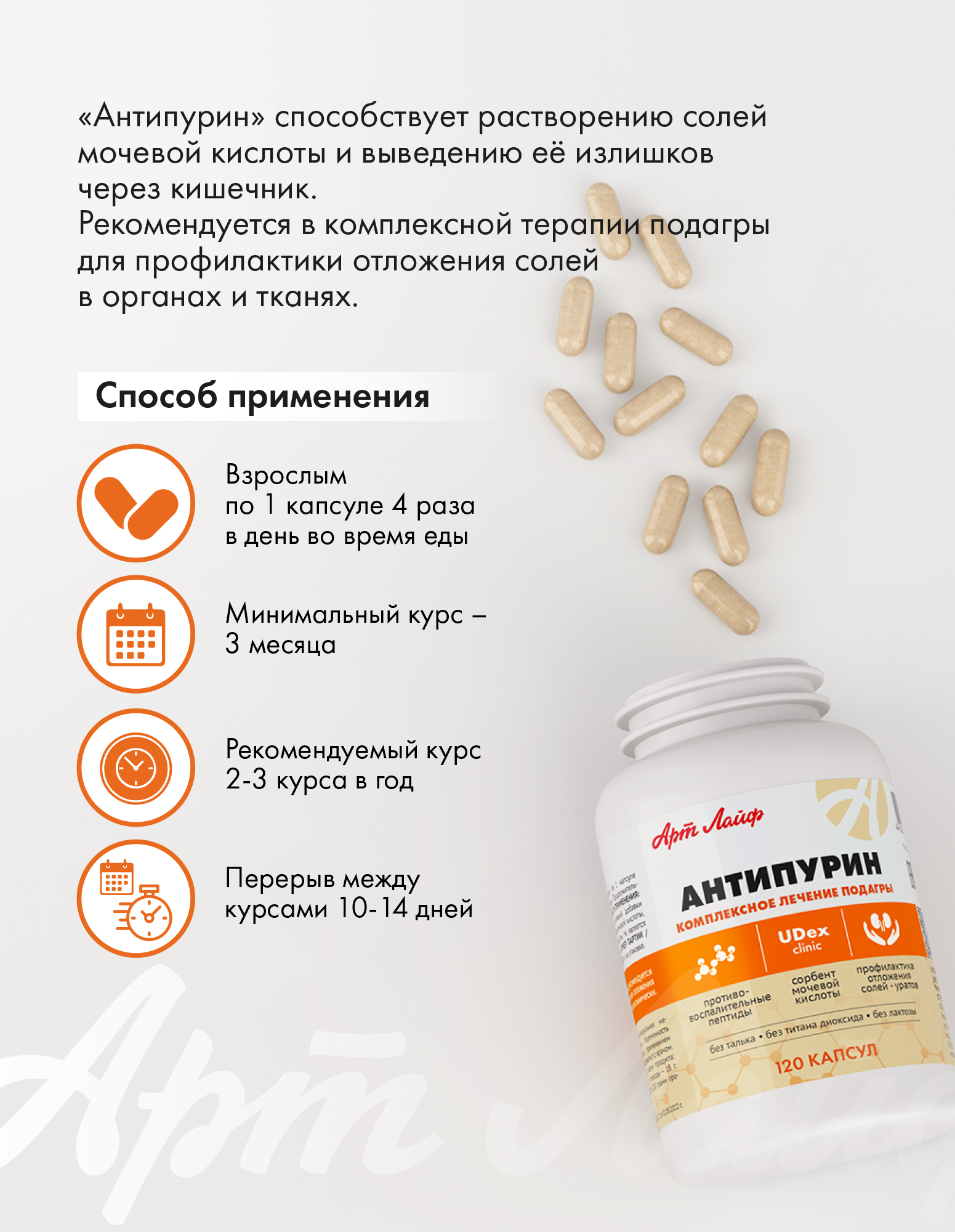 Коррекция пуринового обмена Арт Лайф Антипурин - фото 2