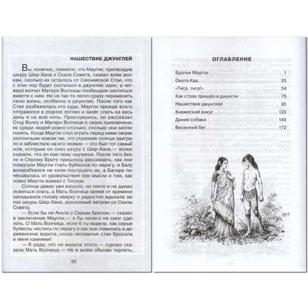 Книга Лада Маугли