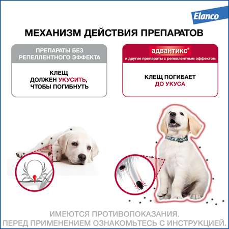 Капли для собак Elanco Адвантикс от 25 до 40 кг против блох и клещей 1пипетка