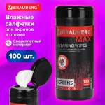 Влажные салфетки Brauberg 100 шт.