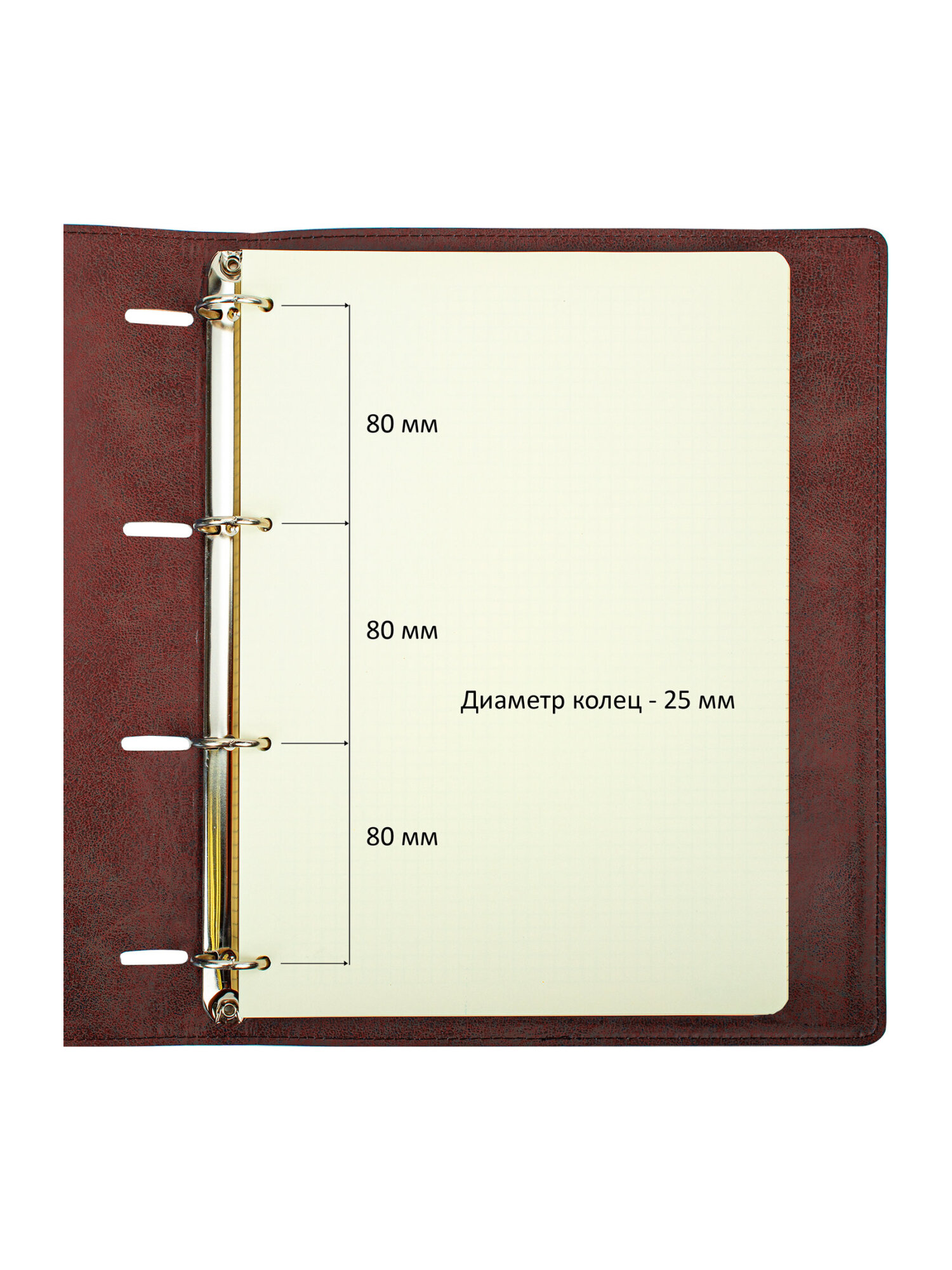 Тетрадь со сменным блоком Brauberg клетка 120 лист. - фото 5