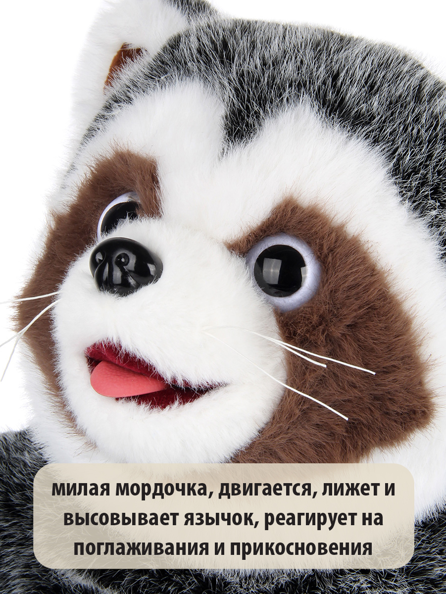 Рюкзак Veld Co - фото 9