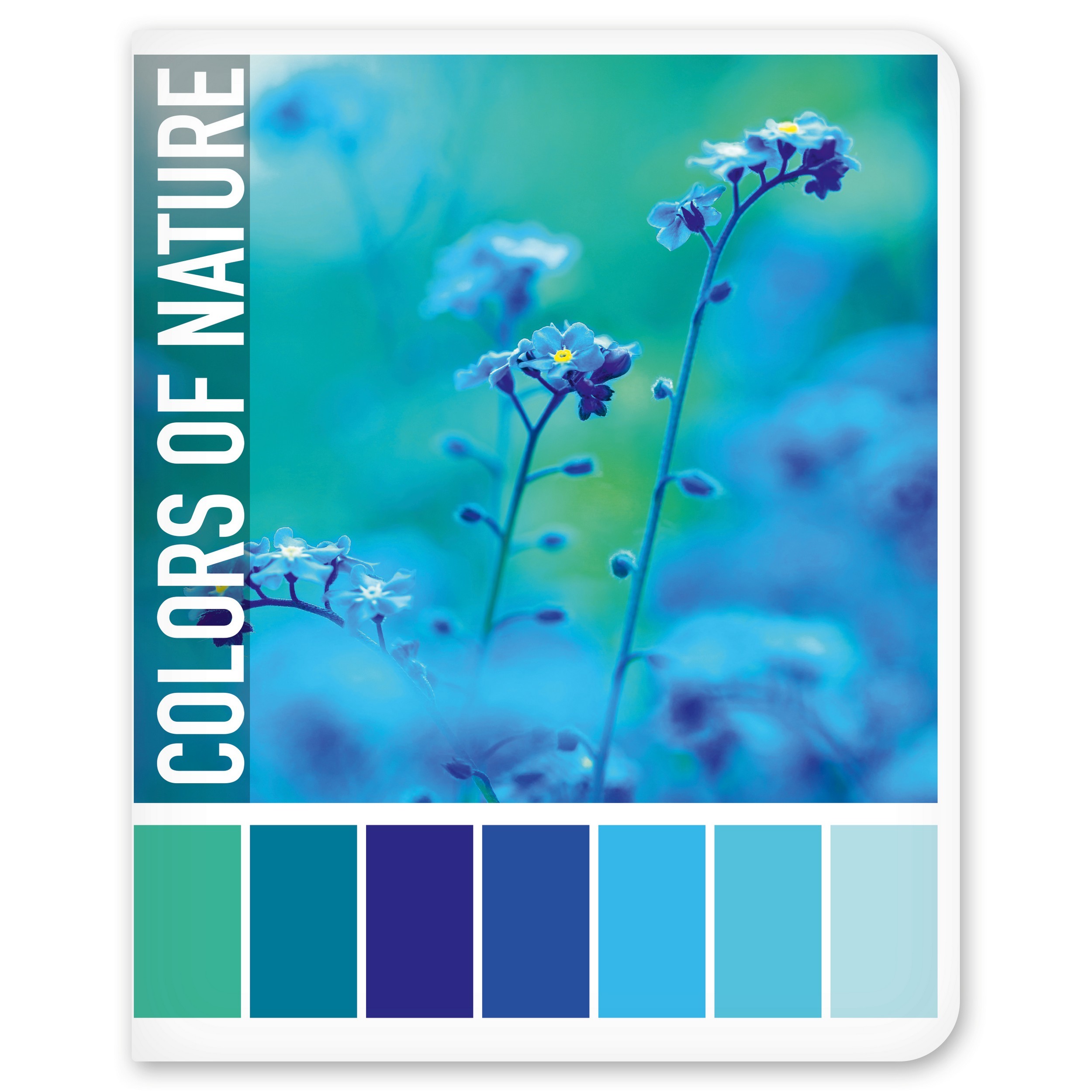 Общая тетрадь Полиграф Принт клетка 48 лист. в ассортименте - фото 8