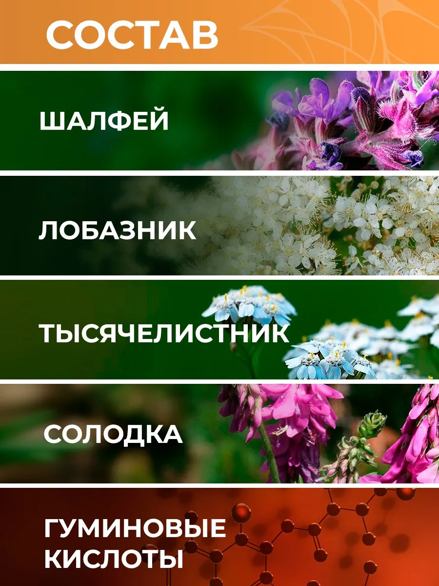 Биологически активная добавка к пище НЕОЛАЙФ «НЕФРОКАРД», 60 капсул по 500 мг - фото 4