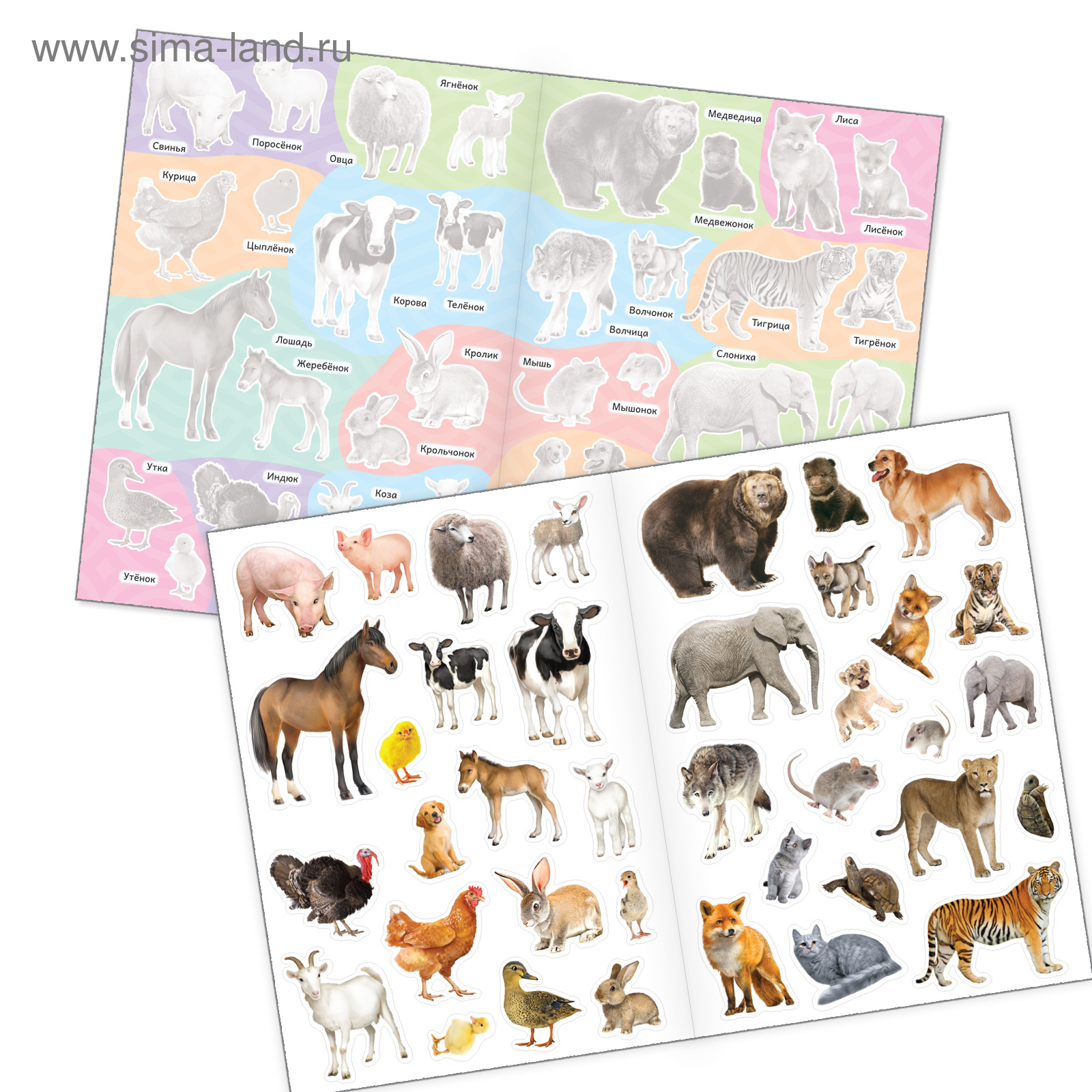 Книжное комплектное издание Буква-ленд с многоразовыми наклейками Такие разные животные 2 шт - фото 2