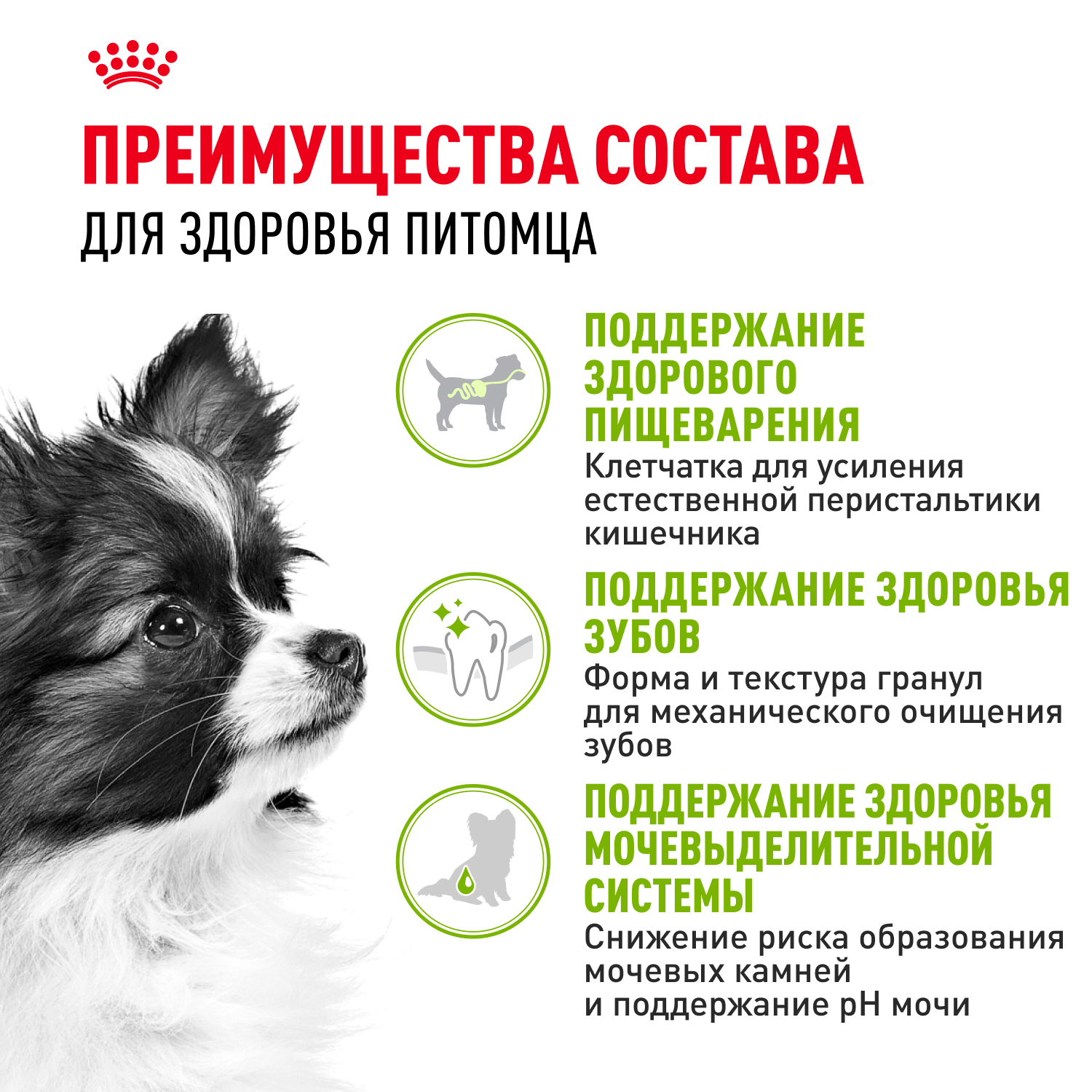 Корм для собак ROYAL CANIN миниатюрных пород 1.5кг - фото 3