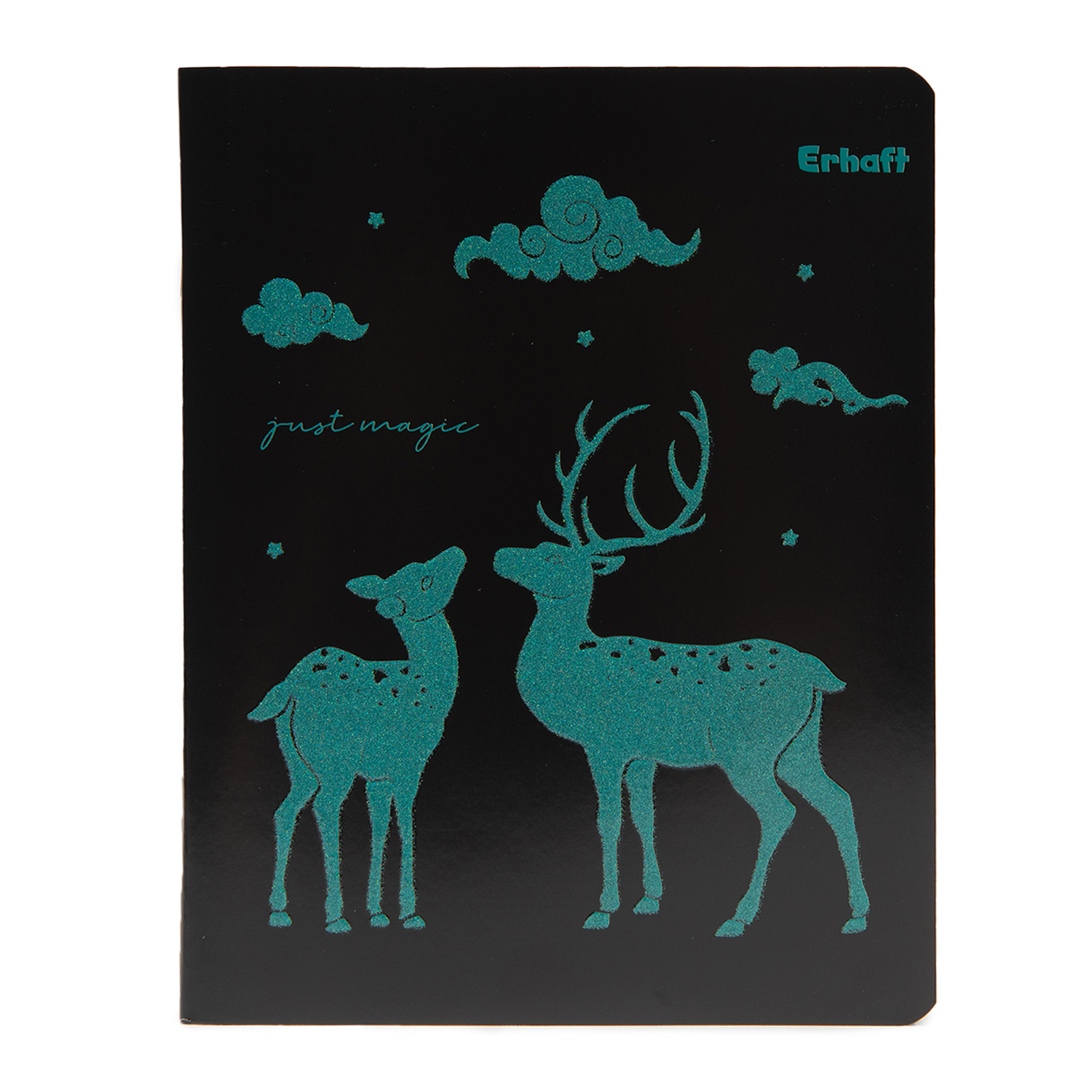 Общая тетрадь Erhaft клетка 48 лист. в ассортименте - фото 2