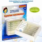 Микроскоп Bondibon
