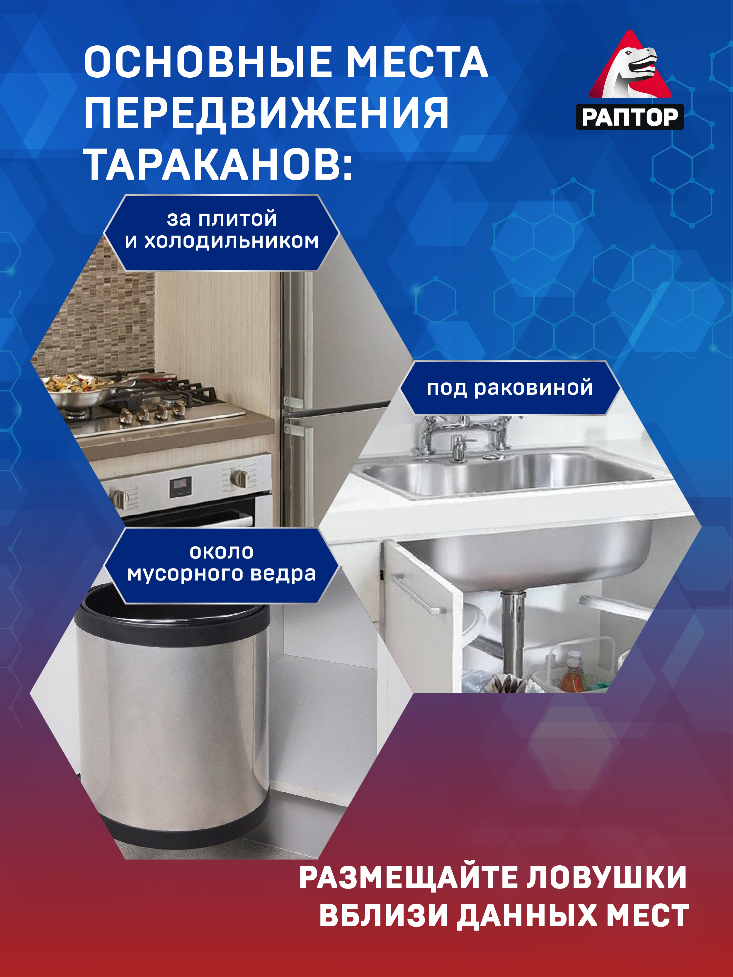 Картонная конструкция Раптор для борьбы с тараканами - фото 4