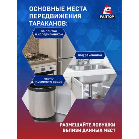 Картонная конструкция Раптор для борьбы с тараканами