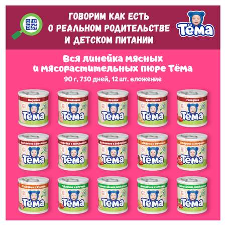 Пюре Тёма Говядина-кабачок-рис 90г с 6месяцев